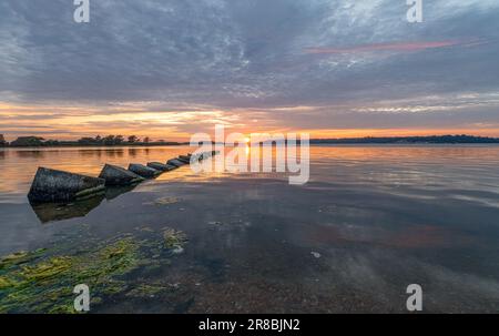 Anti-tank blocs à Bramble Bush Bay avec le soleil se coucher sur la silhouette horizontale les arbres avec les eaux calmes et les algues. Banque D'Images