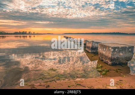 WW2 blocs anti-chars à Bramble Bush Bay au coucher du soleil avec marée entrant avec des algues et du sable mou, Poole Harbour, Dorset Banque D'Images