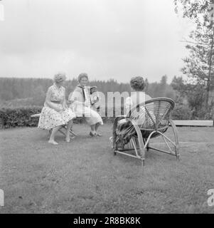 Actuel 36-7-1960: N'a pas le temps de s'ennuyer Quelques personnes admirables souhaitent que la journée ait été de deux heures de plus. Ils ont mille fers dans le feu, ils doivent tous être pris en charge, et ils aiment littéralement avoir leur programme plein. Nous connaissons une fille de cette catégorie. Kari Knutsen, une fille de 18 ans originaire d'Oslo, est une dame de bureau chez Standart Fabrikker par jour, mais dès qu'elle est faite pour la journée, elle se lance dans toutes sortes d'hobbies. Photo: Aage Storløkken / Aktuell / NTB ***PHOTO NON TRAITÉE*** Banque D'Images