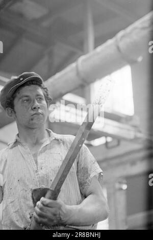 Courant 09-1950: Prêt pour le printemps. Le plus grand fabricant de machines agricoles du pays, l'usine de Kverneland à temps sur Jæren, également makessmaller, mais des outils agricoles très nécessaires. Photo: Sverre A. Børretzen / Aktuell / NTB ***photo non traitée*** Banque D'Images