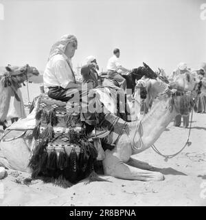 Courant 2-4-1960: Courte rencontre avec l'Égypte l'Égypte de Nasser est le pays de contradictions étourdissantes, et beaucoup plus que des pyramides et des chameaux. Photo: Asmund Rørslett / Aktuell / NTB ***PHOTO NON TRAITÉE Banque D'Images