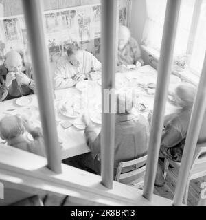 Courant 18-7-1960: Strømbu-Kara six anciens bacheliers ont une pension à Sollia et le rendent si confortable pour les invités qu'ils reviennent vingt ans de suite. Les garçons Strømsbu à la table dugurd dans leur cuisine ultra-moderne, presque américaine. Avant : OLE, Oliver et Martinus. Avec le dos à: Otto, Peder, Anton. L'âge combiné des frères est de 410 ans. Photo: Aage Storløkken / Aktuell / NTB ***PHOTO NON TRAITÉE*** Banque D'Images