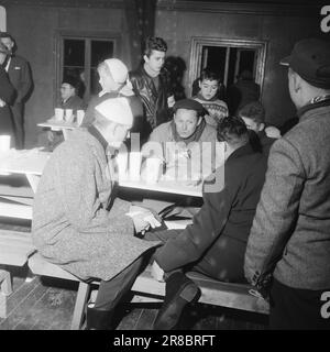 Courant 2-2-1960: Coup de pied avec le coup olympique les gens de ski et de patinage ont eu leur premier grand test de force pré-olympique le week-end dernier, les patineurs de Trondheim, les sauteurs de ski et les skieurs de fond à Gjøvik. Dans ce rapport, nos employés nous parlent, en texte et en images, de la situation parmi les meilleures aujourd'hui. Hjalmar Hjallis Andersen était en route pour la Suède, mais il a fait aux courses du nouvel an comme perdant. ALV Gjestvang t.H., et Hroar Elvenes reçoivent les conseils olympiques de 'Kong Gangt'. Photo: Ivar Aaserud / Aktuell / NTB ***PHOTO NON TRAITÉE*** Banque D'Images