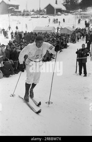 Courant 5-5-1947: Holmenkolldagen 1947Holmenkollen c'était un jour idéal pour le Holmenkollrenn 50th, avec un nouveau record au sol de 71 mètres, établi par le norvégien Hans Kaarstein, BUL, Oslo. Swede Sven Israelsson a remporté la coupe du Roi. C'est la première fois dans l'histoire de Holmenkollen qu'un étranger l'a fait. Photo: Aktuell / NTB ***PHOTO NON TRAITÉE*** Banque D'Images
