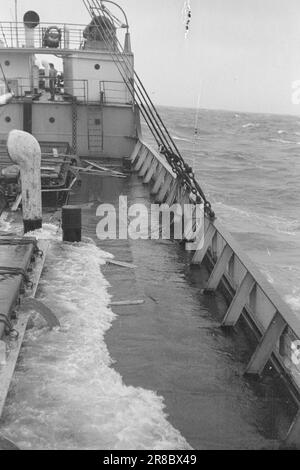 Réel 18-1947: Avant-poste norvégien SvalbardNorvégien dans l'océan Arctique actuellement en visite à Longyearbyen à Svalbard et donnant aux lecteurs un goût de la vie comme mineur ou trappeur. Photo : Th. Skotaam / Aktuell / NTB ***PHOTO NON TRAITÉE*** Banque D'Images