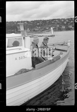 Actuel 31-8-1960: Eaux usées l'eau de baignade nous nous jetons dans le musc plancton et les bactéries intestinales dans le fjord intérieur - mais est-ce dangereux pour la santé? Personne ne sait rien à ce sujet - pour l'instant. Photo: Ivar Aaserud / Aktuell / NTB ***PHOTO NON TRAITÉE*** Banque D'Images