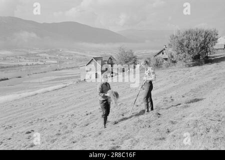 Actuel 39-4-1960: Étudiant agriculteur à Tigerstaden. L'étudiant Lars Ramstad est transplanté du village de montagne de Skjåk aux blocs de béton d'Oslo. 'Dur,' dit-il, 'mais ça va fonctionner'.photo: Ivar Aaserud / Aktuell / NTB Banque D'Images