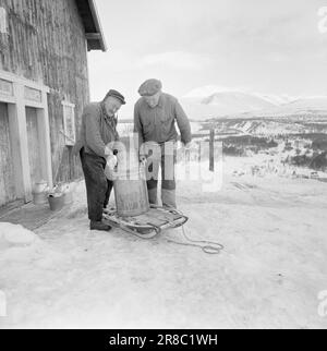 Réel 18-7-1960: Strømbu-Kara six anciens bacheliers ont une pension à Sollia et le rendent si confortable pour les invités qu'ils reviennent vingt ans de suite. Photo: Aage Storløkken / Aktuell / NTB ***PHOTO NON TRAITÉE*** Banque D'Images