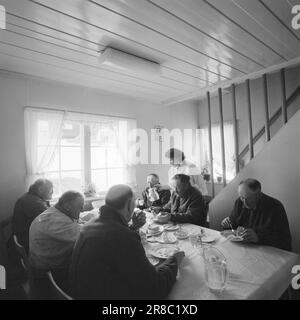 Courant 18-7-1960: Strømbu-Kara six anciens bacheliers ont une pension à Sollia et le rendent si confortable pour les invités qu'ils reviennent vingt ans de suite. Photo: Aage Storløkken / Aktuell / NTB ***PHOTO NON TRAITÉE*** Banque D'Images