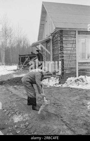 Courant 2-8-1960: Grense pousse ensemble au milieu de la frontière entre la Norvège et la Suède, la petite chapelle constitue un défi pour toutes les divisions artificielles. Pour les sitres sur ces bords, la frontière n'est rien de plus qu'une rue de dix mètres de large à travers la forêt. Ils ont le même long chemin jusqu'à l'endroit densément peuplé le plus proche en Suède qu'en Norvège. Photo: Sverre A. Børretzen / Aktuell / NTB ***PHOTO NON TRAITÉE*** Banque D'Images