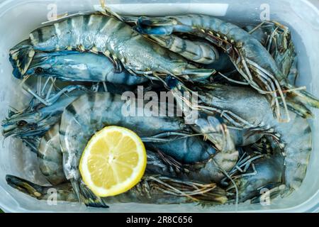 Des crevettes géantes crues dans un plateau avec un demi-citron dans le plateau Préparation de la cuisson. Banque D'Images