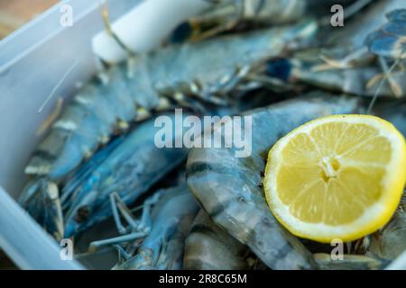 Des crevettes géantes crues dans un plateau avec un demi-citron dans le plateau Préparation de la cuisson. Banque D'Images