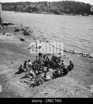 Effectif 11-2-1947: Le Jödeleieren à Ystehede Norvège nouveaux citoyens le samedi 9 mai, le navire de transport de troupes norvégien 'Svalbard' approcha le port de Halden. A bord se trouvaient 399 Juifs, qui vont maintenant trouver une maison dans ce pays et construire une nouvelle vie après de nombreuses années de cauchemars dans les environs des fours à gaz et des escadrons d'exécution. Un peu de balançoire sur le sol herbacé en bas à côté de la plage dans la soirée. Photo : Th. Skotaam / Aktuell / NTB Banque D'Images