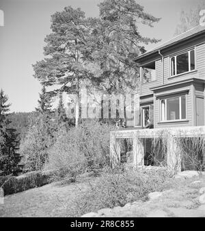 Réel 11-1948: La chanson et le saut forment une résidence commune. La chanteuse d'opéra Anne Brown épouse ski Jumper Thorleif Schjelderup.photo: Sverre A. Børretzen / Aktuell / NTB ***PHOTO NON TRAITÉE*** Banque D'Images