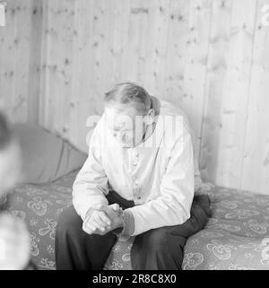 Courant 18-7-1960: Strømbu-Kara six anciens bacheliers ont une pension à Sollia et le rendent si confortable pour les invités qu'ils reviennent vingt ans de suite. Photo: Aage Storløkken / Aktuell / NTB ***PHOTO NON TRAITÉE*** Banque D'Images