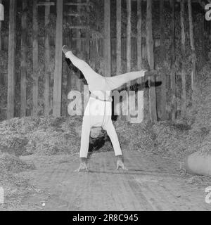 Courant 21-6-1960: Viljebunt de Jæren Norvège, le seul participant de gymnastique aux Jeux Olympiques, Åge Storhaug, s'entraîne chez lui à Løa. Photo: Ivar Aaserud / Aktuell / NTB ***PHOTO NON TRAITÉE*** Banque D'Images