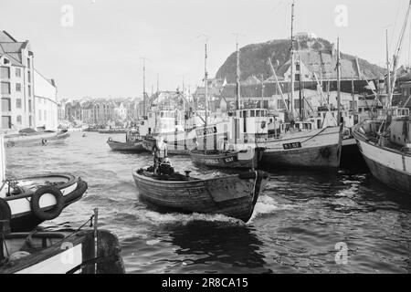 Réel 13-1-1960: Boom sur la mer du hareng la pêche au hareng a échoué pour la troisième année consécutive. Photo: Sverre A. Børretzen / Aktuell / NTB ***PHOTO NON TRAITÉE*** Banque D'Images