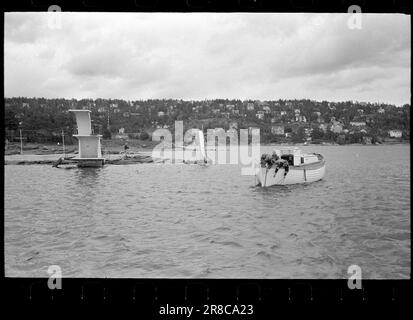 Actuel 31-8-1960: Eaux usées l'eau de baignade nous nous jetons dans le musc plancton et les bactéries intestinales dans le fjord intérieur - mais est-ce dangereux pour la santé? Personne ne sait rien à ce sujet - pour l'instant. Photo: Ivar Aaserud / Aktuell / NTB ***PHOTO NON TRAITÉE*** Banque D'Images