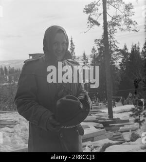 Courant 06-1950: De nouvelles pages à Holmenkollen.cette année le vent était sur le point de souffler l'ensemble de Holmenkollrennet, mais après un report de trois heures il est mort, et le grand festival folklorique, qui plaît à tout le monde, même à ceux qui ne s'intéressent pas beaucoup au sport, est parti de la manière prescrite. Voici des photos du photographe Sverre A. Børretzen qui montrent la vie qui s'est déroulée parmi les 90 000 spectateurs avant, pendant et après la course. Photo: Sverre A. Børretzen / Aktuell / NTB ***PHOTO NON TRAITÉE*** Banque D'Images