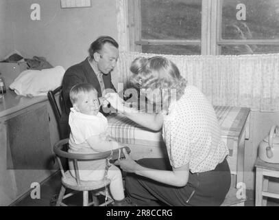 Courant 19-4-1947: Femme anglaise à SvalbardÉloise pour les nuits polaires à Svalbard Mme Kitty Thorbergsen a rencontré l'amour à Londres quand elle a travaillé comme dame de bureau au ministère britannique de l'Aviation. Dans le pensionnat où elle vivait, le Norvégien Per Thorbergsen finit par s'installer, et de la musique douce survit. Maintenant, ils sont mariés, ont des enfants, et vivent à Svalbard, où PER est actuellement en poste. La famille Thorbergsen à la table du petit déjeuner. Le gérant de magasin Per Thorbergsen apprécie son bacon et ses œufs, tandis que Mme Kitty nourrit Little Paul, qui ne connaît pas encore la règle : ne regardez pas le photog Banque D'Images