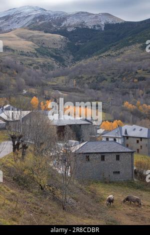 Ville de Durro dans la vallée de Boi dans les Pyrénées catalanes Banque D'Images