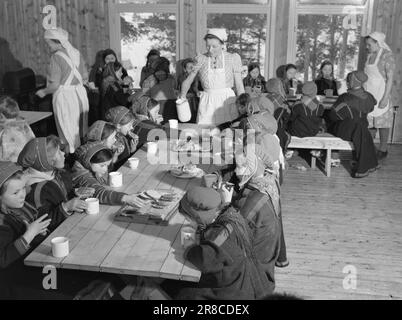 Courant 3-1950: Les enfants naturels dans les chemises de rue.les enfants de l'école à Karasjok dans une école d'embarquement. À l'école d'embarquement, les enfants sâmes migrants reçoivent de la nourriture norvégienne, avec un certain élément de la nourriture sami : viande de renne bouillie et bouillon. La nourriture est bonne, mais la viande de renne est servie trop rarement pour leur goût - un sami de montagne ne devient pas un adulte jusqu'à ce qu'il ait ingéré 5 kilos de cheveux de renne! Photo: Sverre A. Børretzen / Aktuell / NTB *** PHOTO NON TRAITÉE*** Banque D'Images