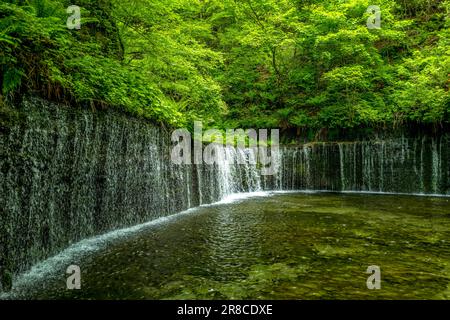 Cascade de Shiraito à Karuizawa, Nagano Japon Banque D'Images