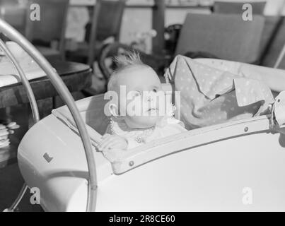 Actuel 14-15-1951: La famille de près. La famille norvégienne moyenne a été trouvée: La famille Gulbrandsen à Drammen. Le plus jeune enfant, 7 mois. Ancien patrimoine.photo: Per Svensson / Aktuell / NTB ***PAS DE PHOTO TRAITÉE*** Banque D'Images