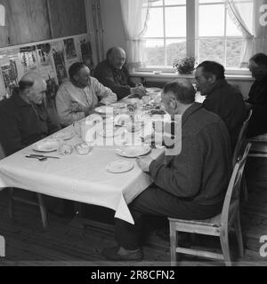 Courant 18-7-1960: Strømbu-Kara six anciens bacheliers ont une pension à Sollia et le rendent si confortable pour les invités qu'ils reviennent vingt ans de suite. Les garçons Strømsbu à la table dugurd dans leur cuisine ultra-moderne, presque américaine. Photo: Aage Storløkken / Aktuell / NTB ***PHOTO NON TRAITÉE*** Banque D'Images