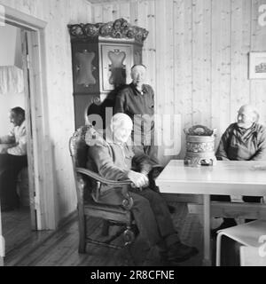 Courant 18-7-1960: Strømbu-Kara six anciens bacheliers ont une pension à Sollia et le rendent si confortable pour les invités qu'ils reviennent vingt ans de suite. Photo: Aage Storløkken / Aktuell / NTB ***PHOTO NON TRAITÉE*** Banque D'Images