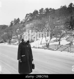 Réel 6-7-1960: Sur de vieux placettes Anne-Marie Rockefeller de Søgne – transformée en Mme Rockefeller de New York – a rendu hommage à son village natal par une visite rapide. Photo: Aage Storløkken / Aktuell / NTB ***PHOTO NON TRAITÉE*** Banque D'Images