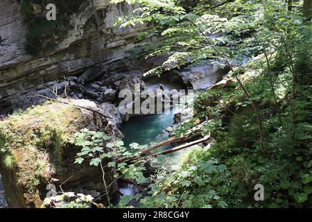 Le Breitachklamm est une gorge créée par la rivière Breitach dans l'Allgau. C'est l'une des gorges les plus profondes des Alpes bavaroises et des rochers les plus profonds. Banque D'Images