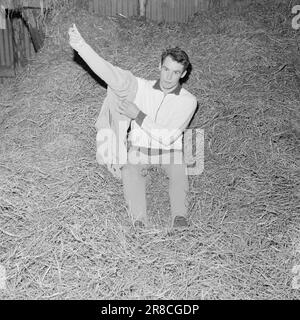 Courant 21-6-1960: Viljebunt de Jæren Norvège, le seul participant de gymnastique aux Jeux Olympiques, Åge Storhaug, s'entraîne chez lui à Løa. Photo: Ivar Aaserud / Aktuell / NTB ***PHOTO NON TRAITÉE*** Banque D'Images