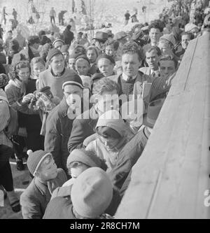 Courant 06-1950: De nouvelles pages à Holmenkollen.cette année le vent était sur le point de souffler l'ensemble de Holmenkollrennet, mais après un report de trois heures il est mort, et le grand festival folklorique, qui plaît à tout le monde, même à ceux qui ne s'intéressent pas beaucoup au sport, est parti de la manière prescrite. Voici des photos du photographe Sverre A. Børretzen qui montrent la vie qui s'est déroulée parmi les 90 000 spectateurs avant, pendant et après la course. Photo: Sverre A. Børretzen / Aktuell / NTB ***PHOTO NON TRAITÉE*** Banque D'Images