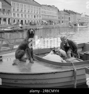 Courant 17-2-1947: Arendal, berceau de l'art de vivre Arendal, également appelé la « Venise du Nord » a été pendant plus de 100 ans la principale ville maritime en Norvège. Les voiliers de la ville ont été trouvés sur toutes les mers, et la ville et le quartier ont semé la vie quand les navires sont revenus à la maison en automne avec des charges lourdes. L'apogée d'Arendal s'est terminée à la fin du 19th siècle par un grave krach bancaire qui a créé une détresse et une misère sans précédent. Des gens de petite classe ont organisé des associations de « solidarité » pour s'occuper de leurs intérêts, et « la bande côtière douce » est devenue pour un temps le centre du soc Banque D'Images