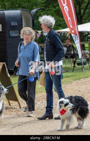 Couple marchant avec des chiens au festival Maverick Americana 2017 dans la région rurale du Suffolk Banque D'Images