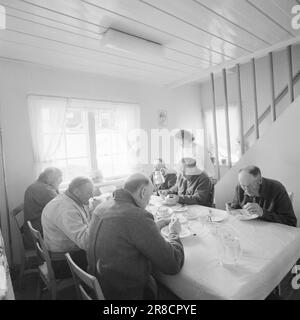 Courant 18-7-1960: Strømbu-Kara six anciens bacheliers ont une pension à Sollia et le rendent si confortable pour les invités qu'ils reviennent vingt ans de suite. Les garçons Strømsbu à la table dugurd dans leur cuisine ultra-moderne, presque américaine. Photo: Aage Storløkken / Aktuell / NTB ***PHOTO NON TRAITÉE*** Banque D'Images