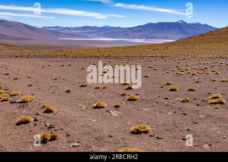 Vivre le rêve de l'aventure : conduire la route pittoresque de la lagune à travers la réserve nationale isolée de faune Andina Eduardo Avaroa dans l'Altiplano bolivien Banque D'Images