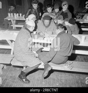 Courant 2-2-1960: Coup de pied avec le coup olympique les skieurs et les patineurs ont eu leur premier grand test de force pré-olympique le week-end dernier, les patineurs à Trondheim, les sauteurs de ski et les skieurs de fond à Gjøvik. Dans ce rapport, nos employés nous parlent, en texte et en images, de la situation parmi les meilleures aujourd'hui. Hjalmar Hjallis Andersen était en route pour la Suède, mais il a fait aux courses du nouvel an comme perdant. ALV Gjestvang t.H., et Hroar Elvenes reçoivent les conseils olympiques de 'Kong Gangt'. Photo: Ivar Aaserud / Aktuell / NTB ***PHOTO NON TRAITÉE*** Banque D'Images