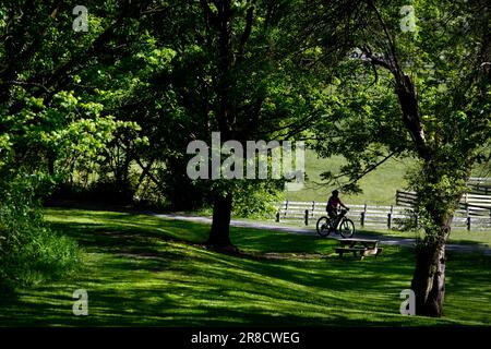 Un homme passe son vélo le long de la piste du Creeper de Virginie à Abingdon, en Virginie. Banque D'Images