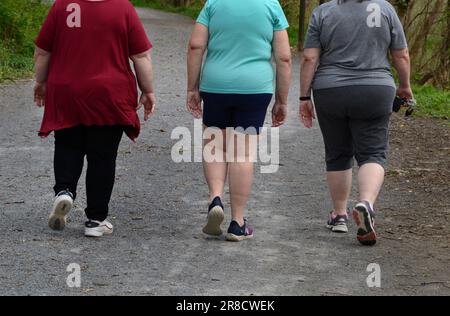 Trois femmes marchent pour faire de l'exercice le long d'un sentier naturel à Abingdon, Virginie. Banque D'Images