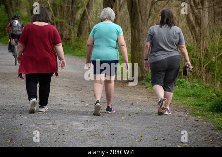 Trois femmes marchent pour faire de l'exercice le long d'un sentier naturel à Abingdon, Virginie. Banque D'Images