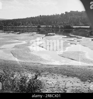 Actuel 17-1-1947: Les rapports de séété catastrophique affluent de tous les coins de la Norvège orientale au sujet des conséquences extrêmement graves de la sécheresse prolongée. Les grands fleuves ont diminué à presque rien. Les immenses bancs de sable que les rivières de l’est de la Norvège sont aujourd’hui en train d’exposer sont une belle vue, mais déprimante. Les enfants ont un merveilleux moment dans les flaques, mais le bois de cette année est laissé derrière. Photo: Aktuell / NTB ***PHOTO NON TRAITÉE*** Banque D'Images