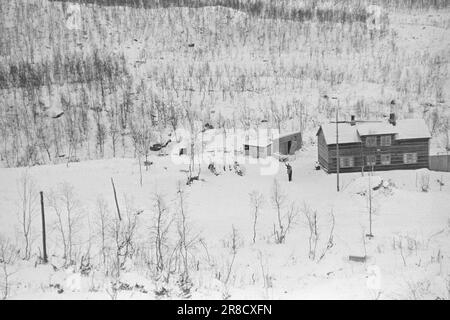 Réel 1- 1948: Le nord et le sud de la Norvège liés ensemble [image 0026]le 8 décembre 1947, Nordlandsbanen, ou Nord-Norgesbanen comme on devrait plutôt l'appeler, a ajouté quelques miles à sa croissance. La ligne Mo i Rana-Lønsdal a été ouverte à la circulation générale. Une nouvelle étape du Nord-Norgesbanen est ainsi achevée. Mais Lønsdal n'est pas le point final, la voie doit aller beaucoup plus au nord, - y a-t-il une raison de gonfler cet incident à plus qu'un intermesso technique ferroviaire? Oui, c'est vrai. Cet événement, qui a eu lieu sans aucune exposition majeure de faste et splendeur cérémonielles, en réalité Banque D'Images