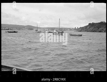 Actuel 31-8-1960: Eaux usées l'eau de baignade nous nous jetons dans le musc plancton et les bactéries intestinales dans le fjord intérieur - mais est-ce dangereux pour la santé? Personne ne sait rien à ce sujet - pour l'instant. Photo: Ivar Aaserud / Aktuell / NTB ***PHOTO NON TRAITÉE*** Banque D'Images