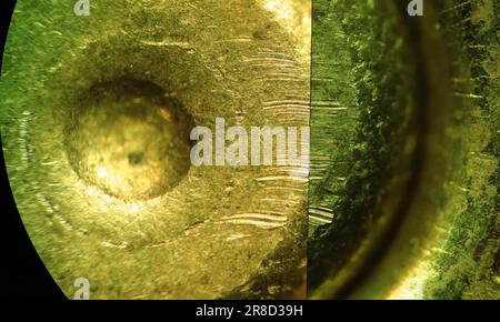 Comparaison microscopique du boîtier de la cartouche Banque D'Images