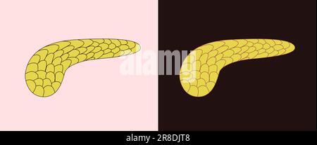 Dessin plat simple d'un pancréas humain. Organe interne isolé dans un style géométrique minimal. Illustration de Vecteur