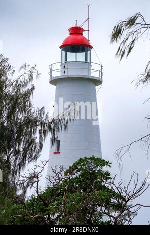 Lady Elliot Island Banque D'Images