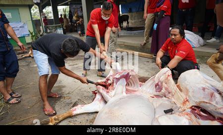 le processus de coupe de la viande sacrificielle pour chaque partie Banque D'Images