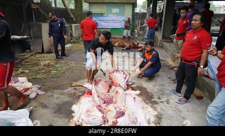 le processus de coupe de la viande sacrificielle pour chaque partie Banque D'Images